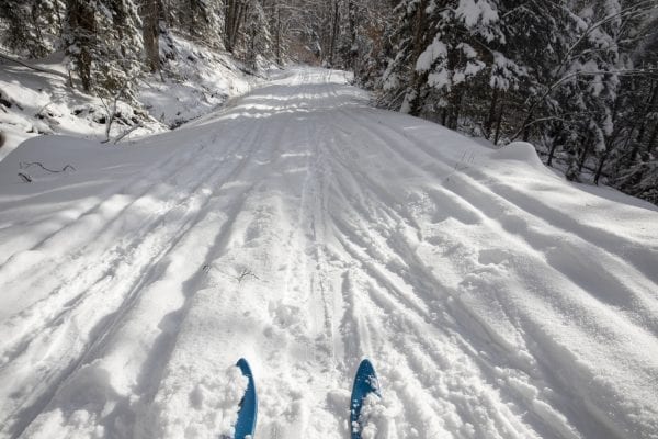 Conditions were good on the Jackrabbit Trail near Whiteface Inn Road in Lake Placid on January 7, 2020. Photo by Mike Lynch