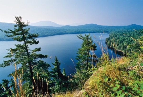 Pine bluffs offer a splendid view of Silver Lake. Photo by Carl Heilman II.