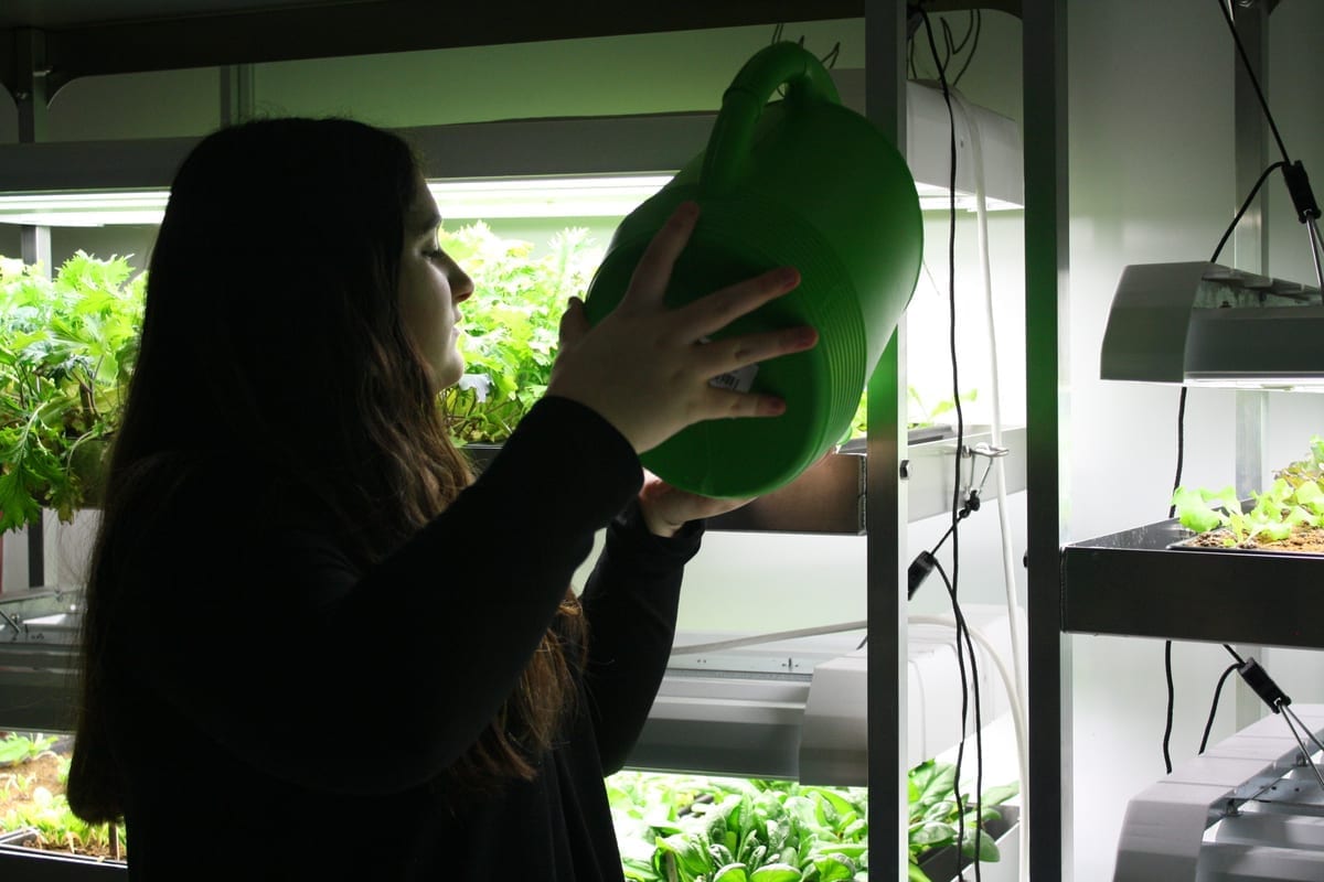 indoor lettuce farm to school
