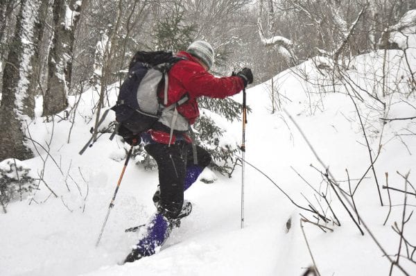 debar mountain winter hike