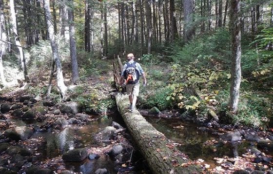 Pharaoh Lake Wilderness