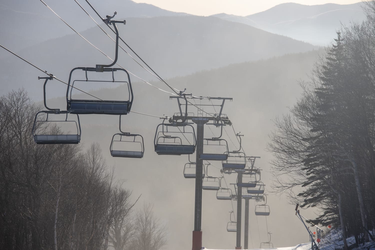 whiteface
