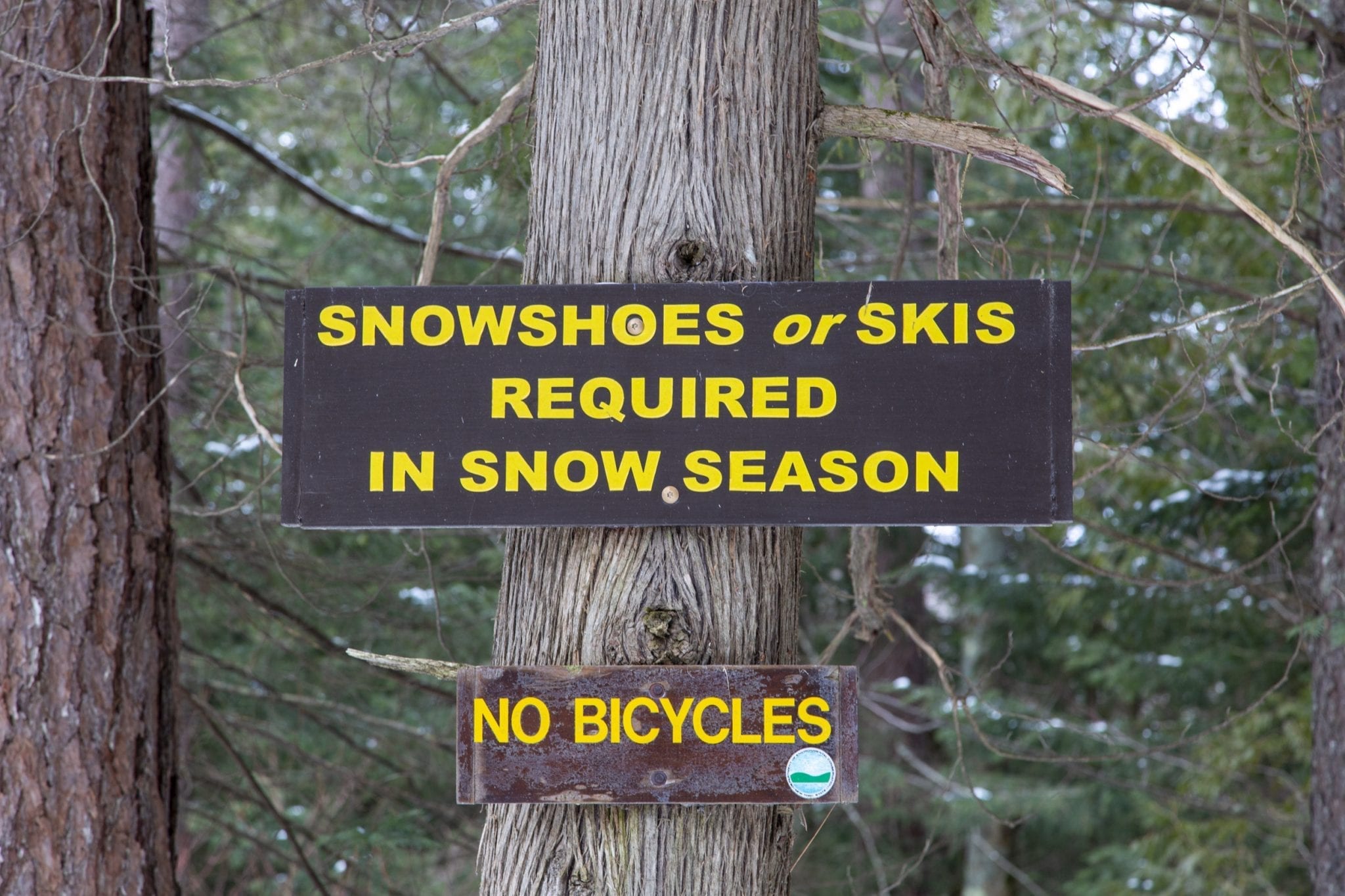 skis and snowshoes are required in the High Peaks Wilderness when there's 8 inches of snow or more