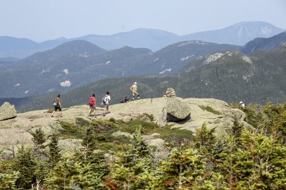 DEC launches campaign to promote stewardship
