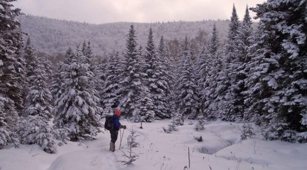 Snowshoe view