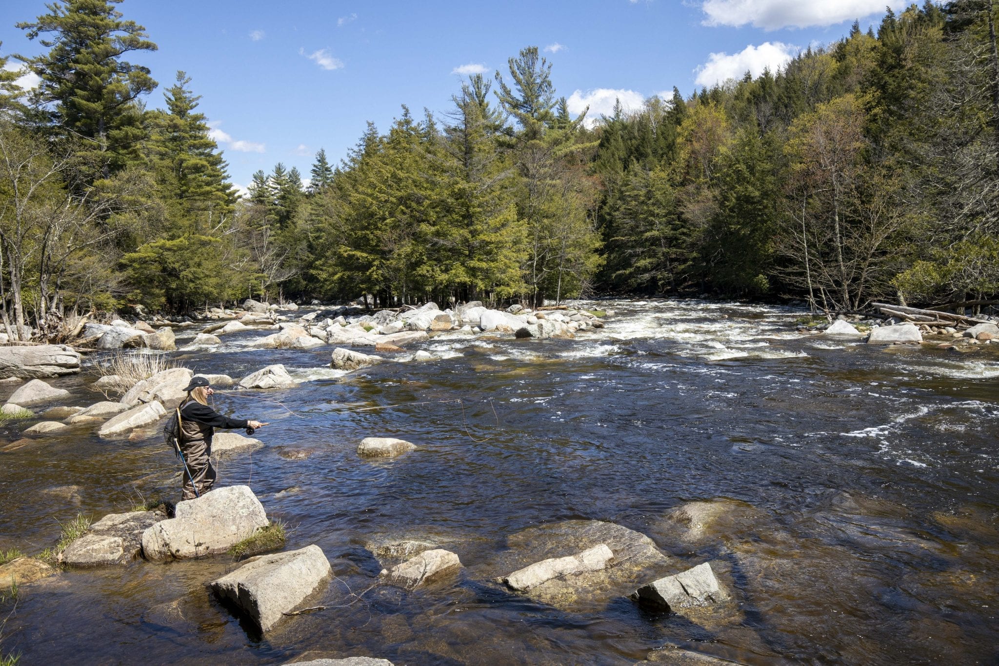 A woman fishes the West Branch of the Ausable River