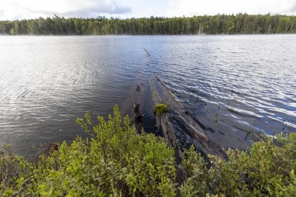 lake surveys part of the state budget