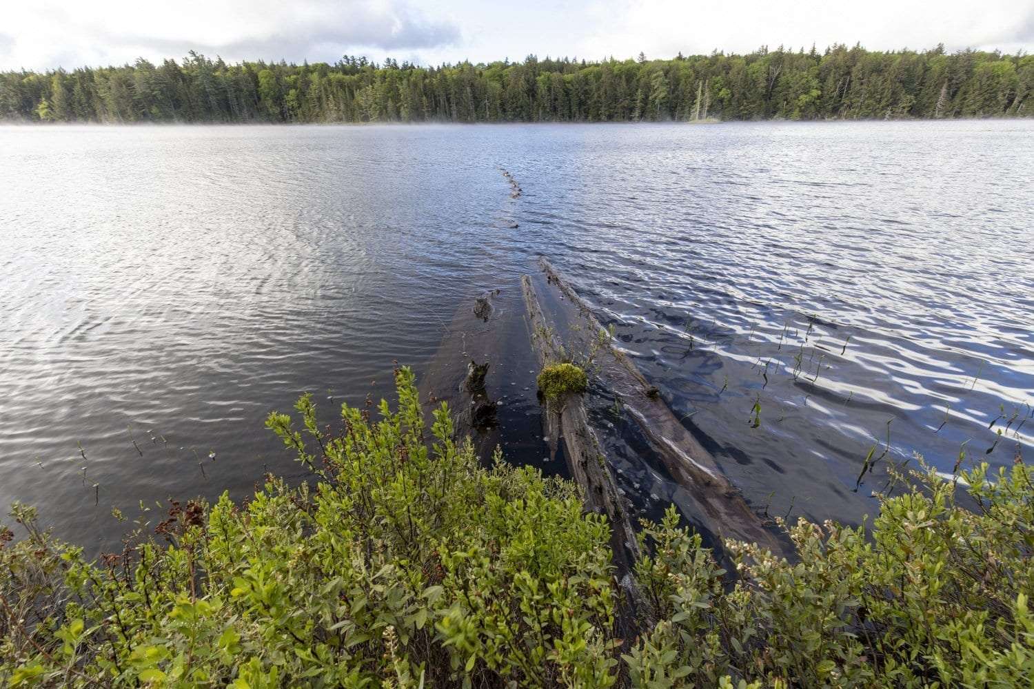 lake monitoring