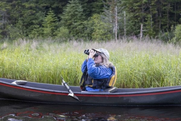 Adirondack guide Joan Collins scans the treetops for birds. Photo by Mike Lynch