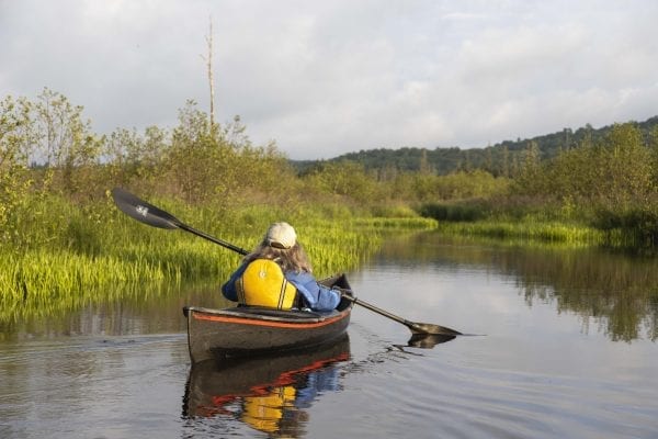 Adirondack birding guide Joan Collins paddles Fishing Brook in July 2019. Photo by Mike Lynch