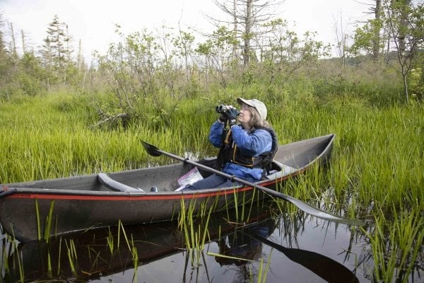 ornithologist Joan Collins participates in the bird atlas