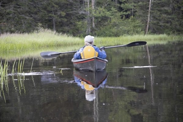 Joan Collins paddles Fishing Brook in Hamilton County. Photo by Mike Lynch