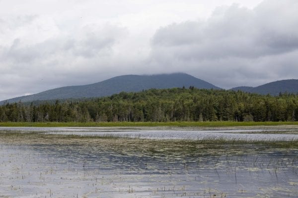 A view of County Line Flow. Photo by Mike Lynch