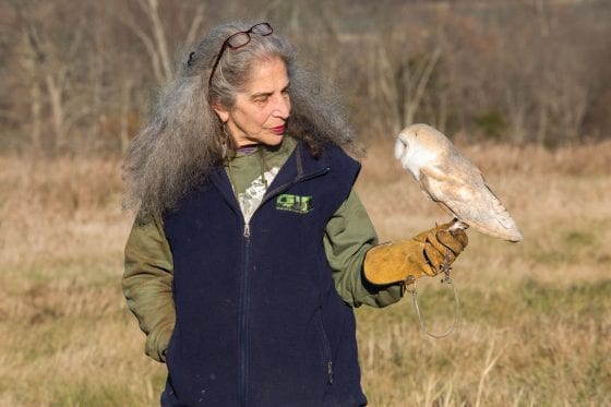 Wendy Hall: Defender of all living things