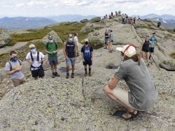 summit steward