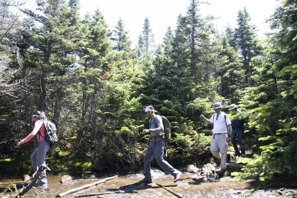 The 5,344-foot Mount Marcy, the tallest mountain in New York, continues to be a big draw for hikers during the pandemic. On Saturday, July 18, Explorer multimedia reporter Mike Lynch hiked the mountain, documenting the scene along the way. The photo gallery above contains images from that trip.