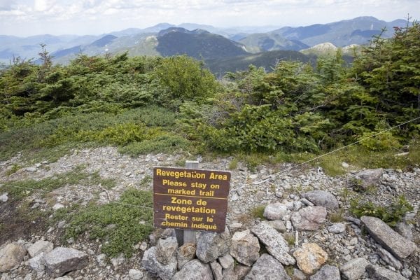 Trail work on the 5,344-foot Mount Marcy, the tallest mountain in New York. Photo by Mike Lynch