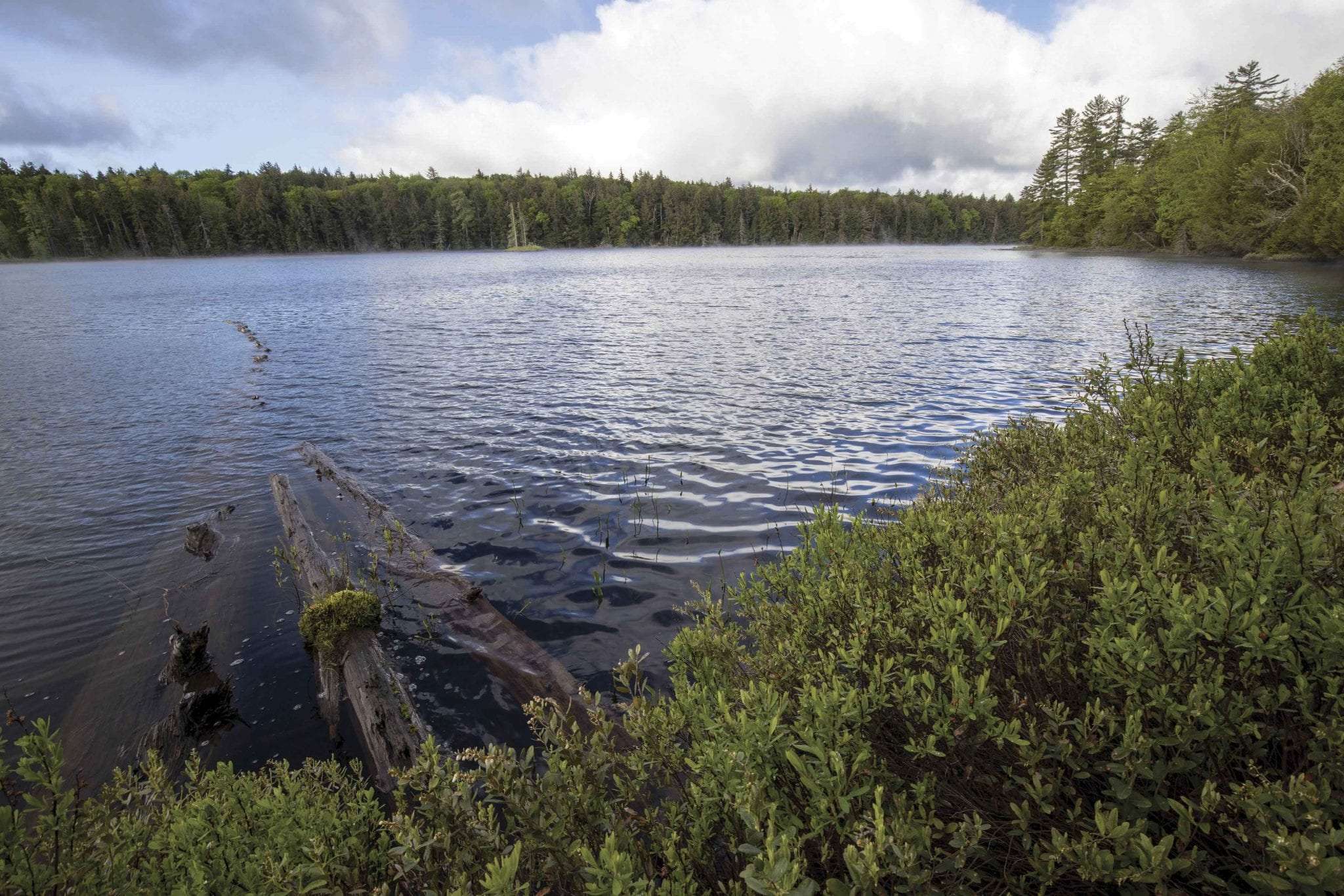 Sjöutredning