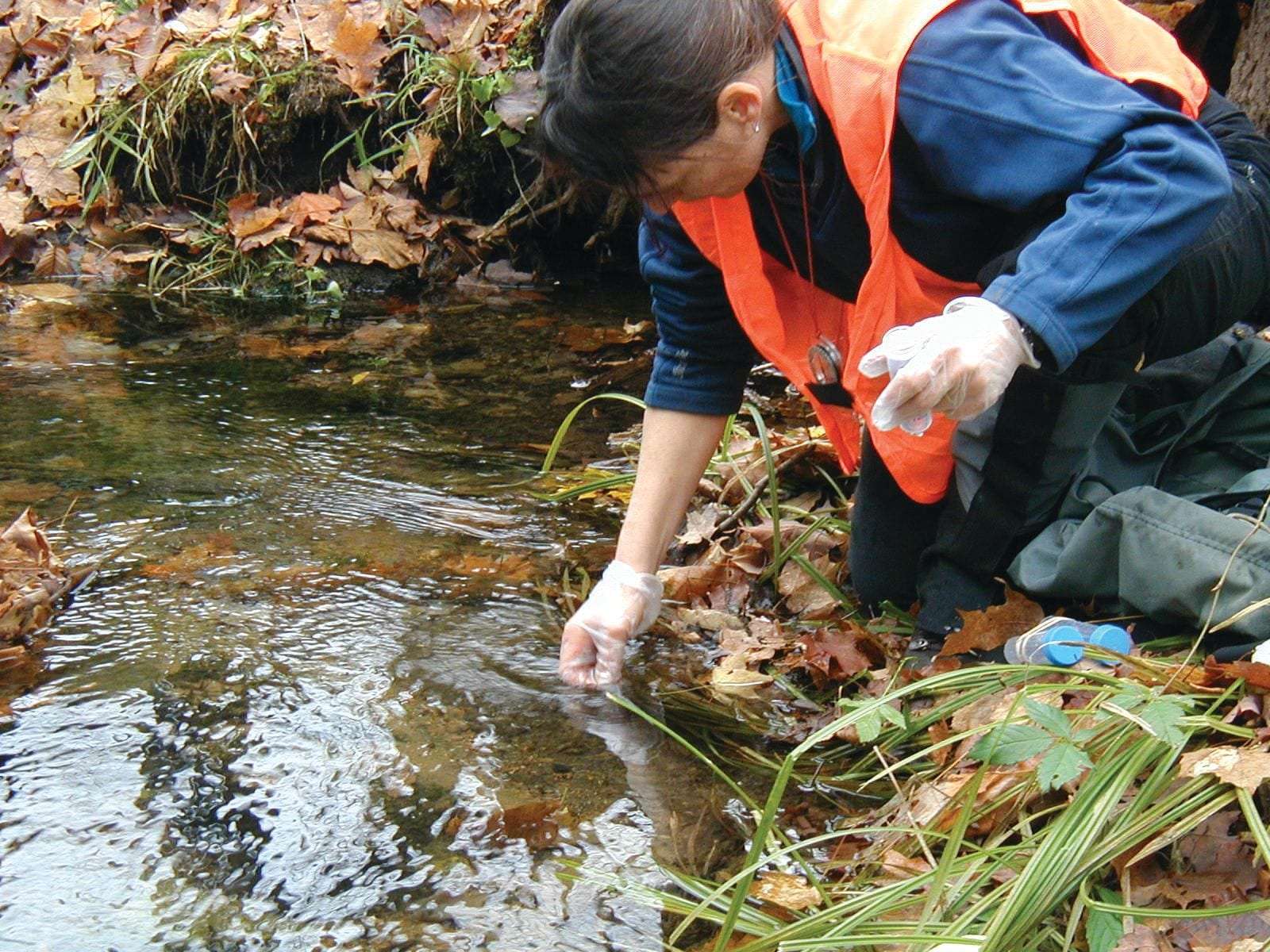 Western Adirondack Stream Survey