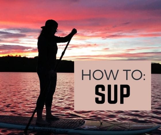 SUP dawg! Stand up paddle boards remain popular