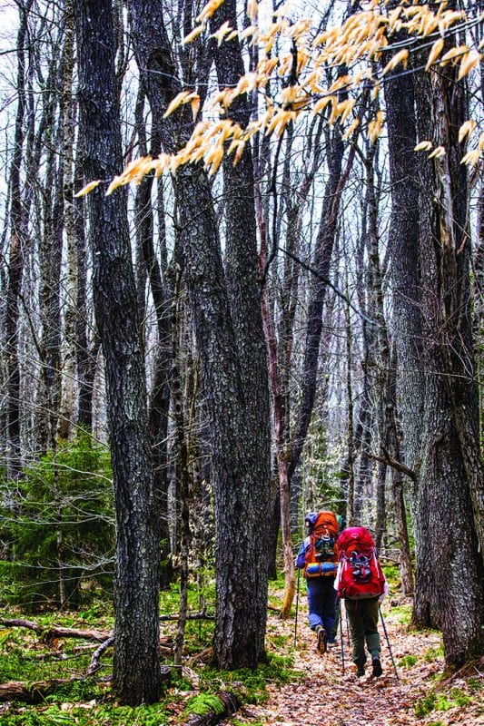Betsy Kepes, husband Tom Vandewater, and young friends Amanda Oldacre and Jim Burdick hiked and backpacked the Cranberry 50 in the spring for an article Kepes wrote for the July issue. Photo by Nancie Battaglia