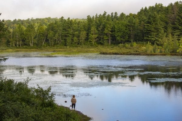 Scenes an early morning drive on Goldsmith Road in the northern Adirondacks. The goal was to spot a moose. None were seen, but the scenery was fantastic as the fog lifted off the water and rose above the forests. Photos by Mike Lynch