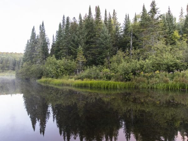 Scenes an early morning drive on Goldsmith Road in the northern Adirondacks. The goal was to spot a moose. None were seen, but the scenery was fantastic as the fog lifted off the water and rose above the forests. Photos by Mike Lynch