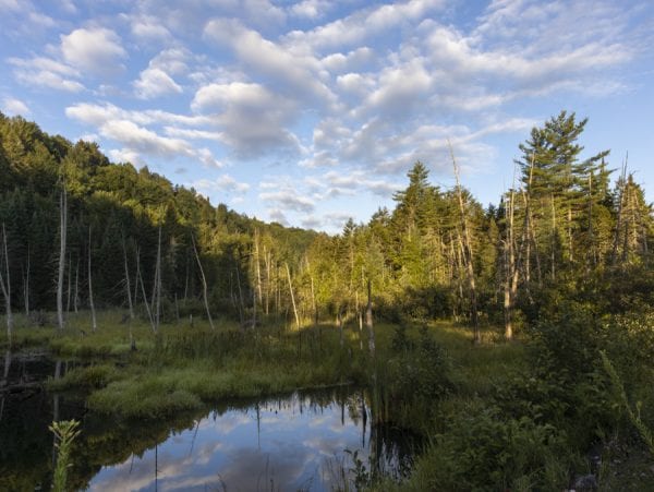 Scenes an early morning drive on Goldsmith Road in the northern Adirondacks. The goal was to spot a moose. None were seen, but the scenery was fantastic as the fog lifted off the water and rose above the forests. Photos by Mike Lynch