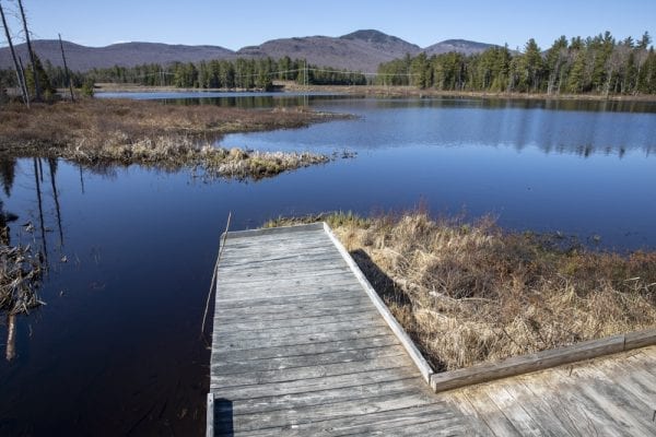 In May, multimedia reporter Mike Lynch joined former Explorer editor Phil Brown for a trip on the Sable Highlands Easement for a biking and hiking trip. The excursion started at the Fishhole Pond parking area, near Loon Lake. From there, they biked north on the D&H Road for about 2 miles, then turned left onto an old logging road and biked that a few miles to its end in a clearing with views of Loon Lake Mountains, Peaked Mountain and the Plumadore Range. On the way back, they got off their bikes and bushwhacked to a lookout on an unnamed peak with great views of the Sable Highlands and many peaks in the distance. DEC’s plans call for creating a mountain-bike loop around the unnamed peak and a hiking trail to the lookout. Neither has been done. These photos by Lynch are from that trip.