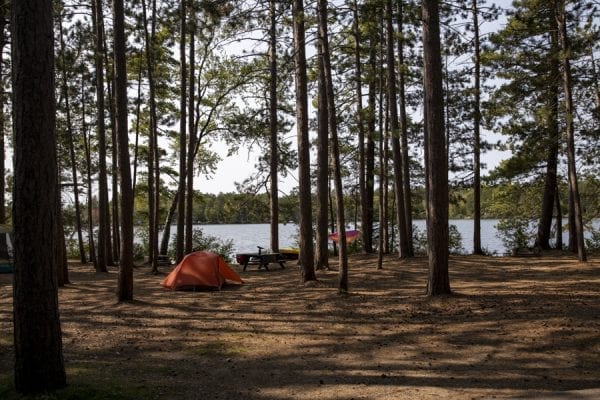 A tent sits among the pines at Fish Creek Campground in September. Photo by Mike Lynch