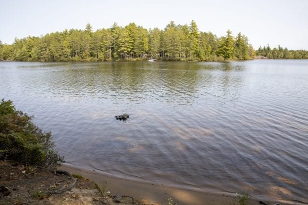 A view across the water at the Fish Creek Pond day use area. Photo by Mike Lynch