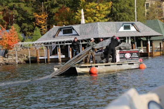 Decades-old milfoil mats removed from Lake George