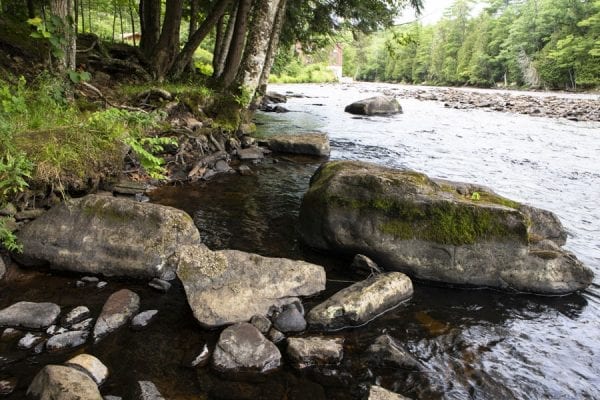 At the Saranac River near Kent Falls Dam. Photo by Benjamin Chambers