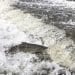 After 200 year wait, work planned to free Saranac salmon