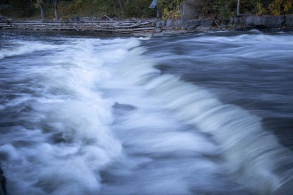 A salmon swims upriver in this photograph, which was taken with a slow shutter speed. Photo by Mike Lynch