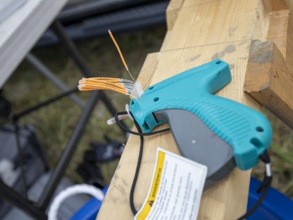 This device was used to give salmon on the Boquet River yellow tags this fall. Photo by Mike Lynch