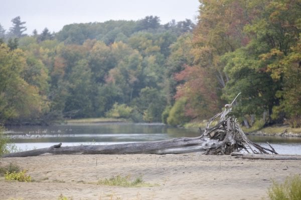 Mouth of the Boquet River. Photo by Mike Lynch