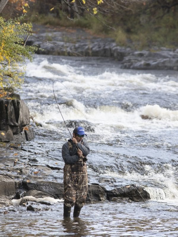 An angler hooks into a salmon on the Boquet River in Willsboro. Photo by Mike Lynch