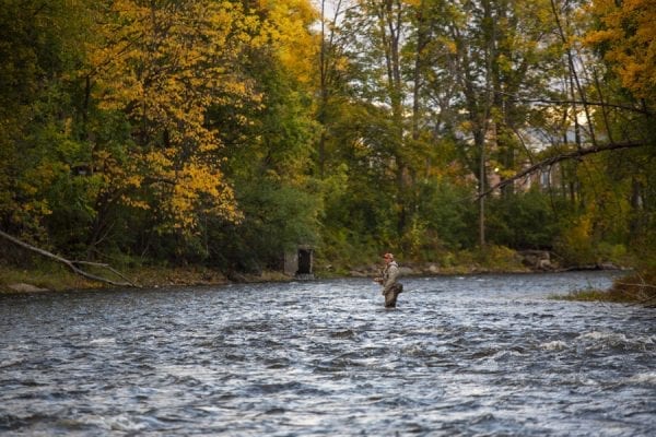 Anglers try to catch salmon as they move upstream on the fast moving Saranac River. Photo by Mike Lynch
