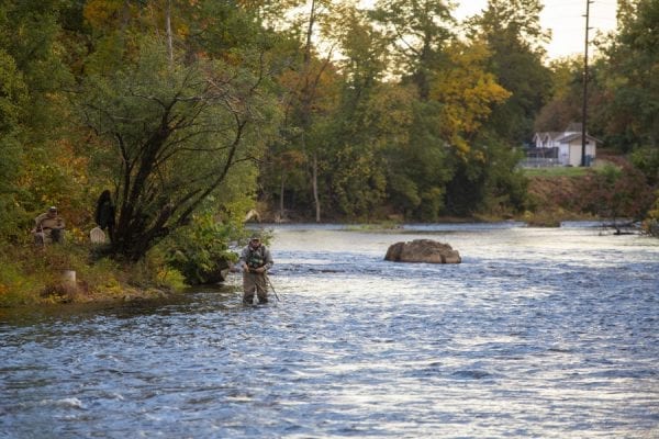 An angler wades into the Saranac River, hoping to catch a salmon. Photo by Mike Lynch