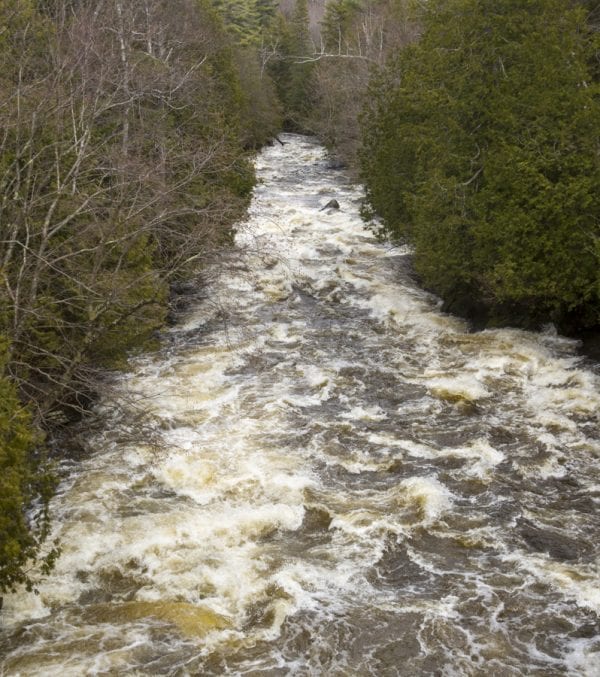 The Saranac River below Union Falls Dam continues as rapids, then settles out into slower, flat water, before becoming rapids again. Photo by Mike Lynch