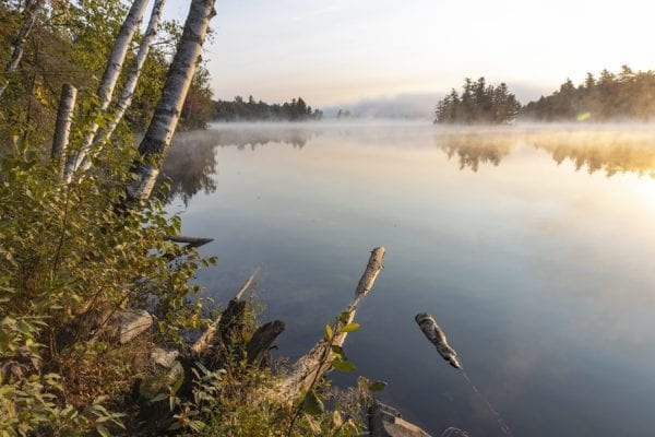 Franklin Falls Pond on a foggy September morning. Photo by Mike Lynch