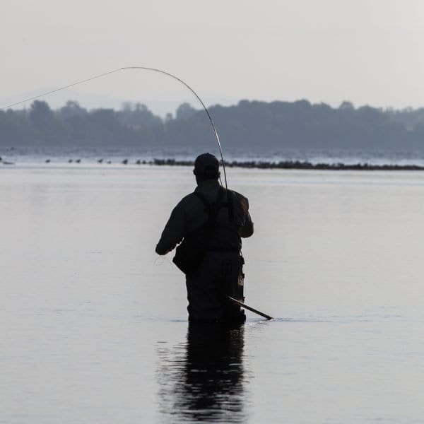 An angler lands a fall fish. Photo by Mike Lynch
