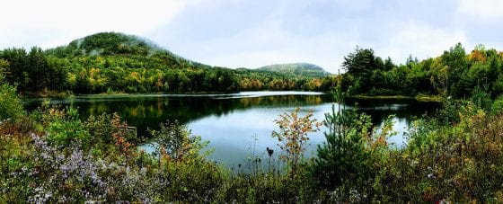 OSI buys 2,200 acres in eastern Adirondacks
