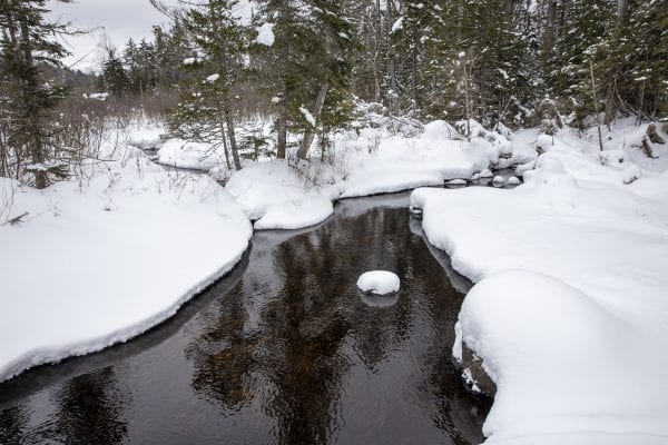 Volunteers partnered with the DEC to build a bridge over this stream. Photo by Mike Lynch