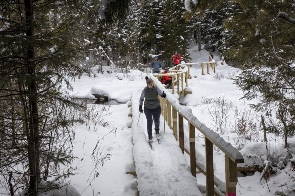 A skier makes her way along a new bridge on the ski trail. Photo by Mike Lynch