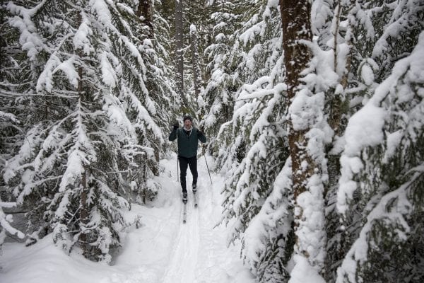 skier in winter gear