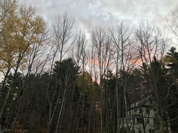 House in the woods at sunset