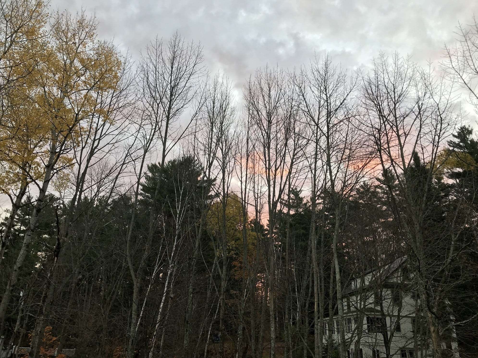 House in the woods at sunset