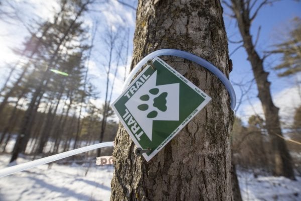 map syrup line on a tree near a sign for the CATS trail